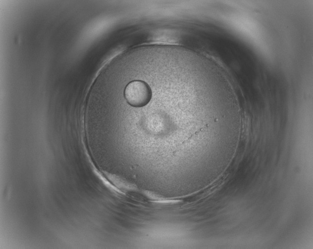 X0000068831487200605191846