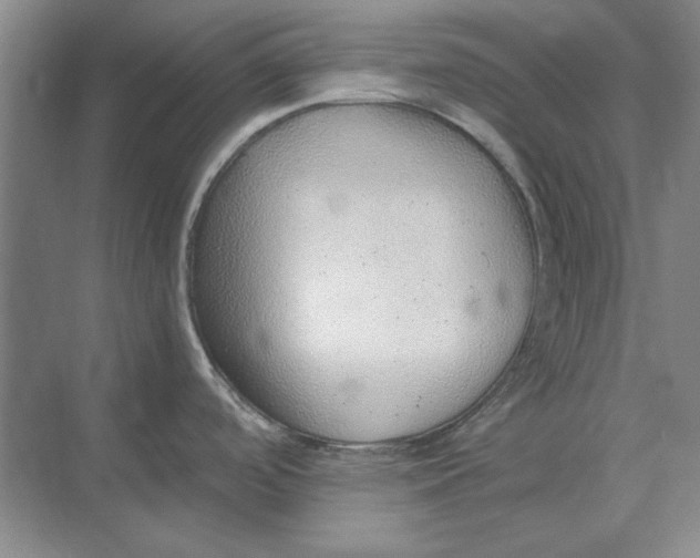 X0000068831488200605191846