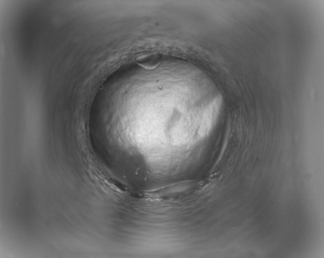 X0000068831489200605191845