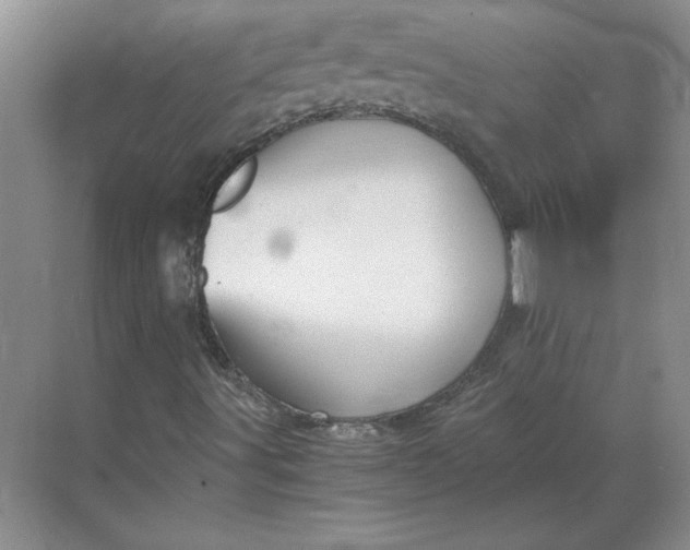 X0000068831491200605191845