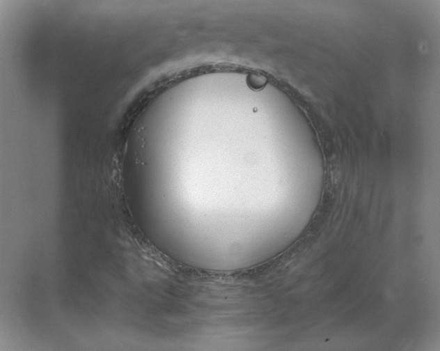 X0000068831495200605191845