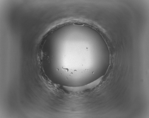 X0000068831496200605191845