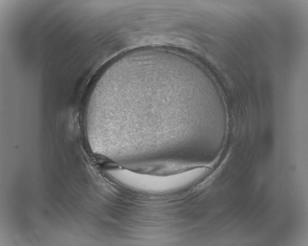 X0000068831497200605191845