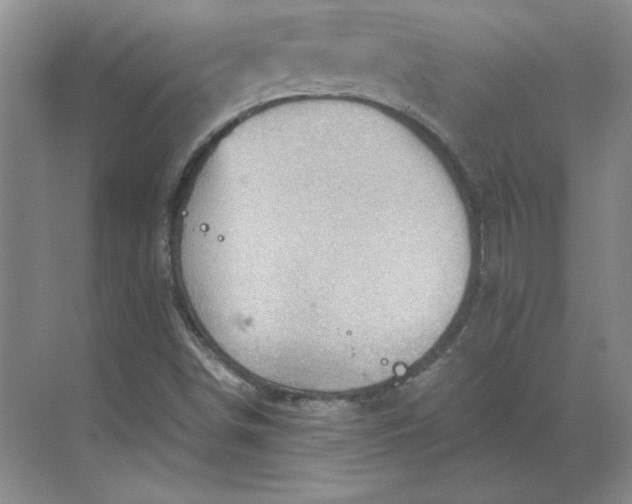 X0000068831498200605191845