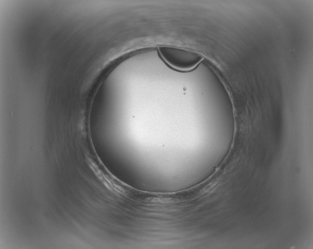 X0000068831499200605191845