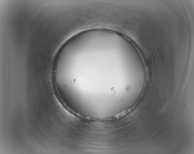 X0000068831500200605191845