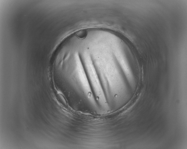 X0000068831501200605191845