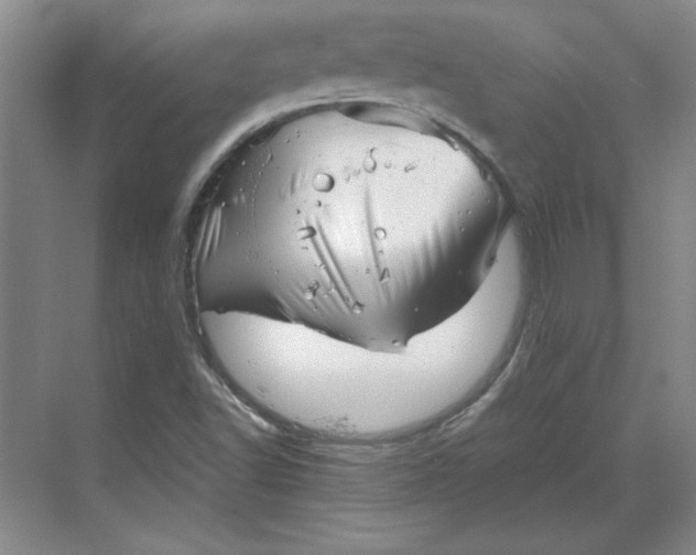 X0000068831502200605191845