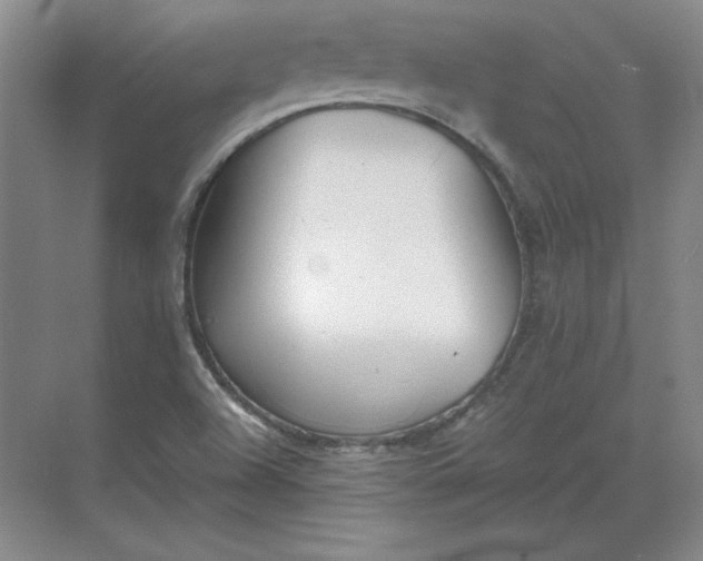 X0000068831504200605191845