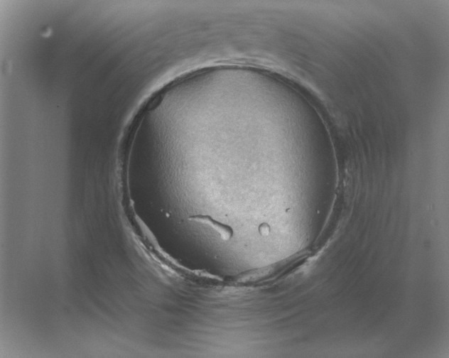 X0000068831506200605191845