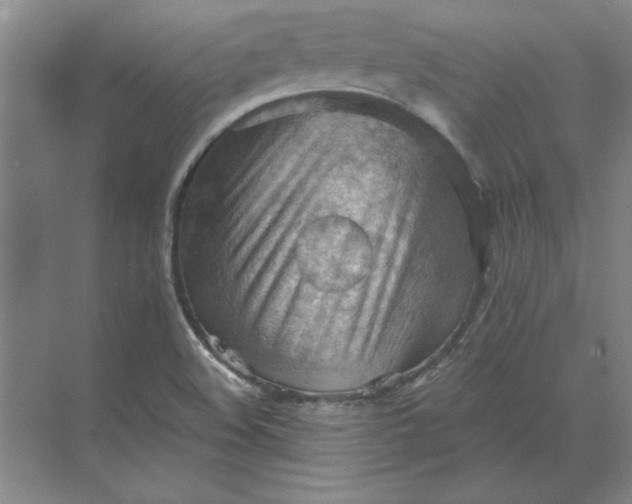 X0000068831508200605191845