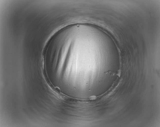 X0000068831509200605191845