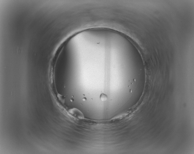 X0000068831510200605191845