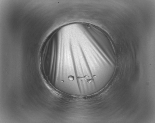 X0000068831511200605191845