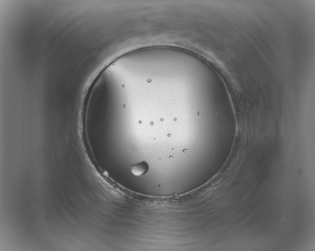 X0000068831512200605191845