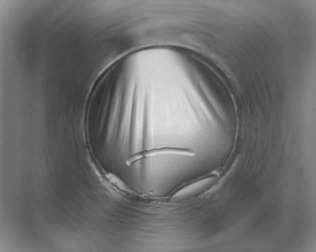 X0000068831513200605191845