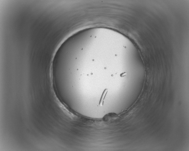 X0000068831516200605191845