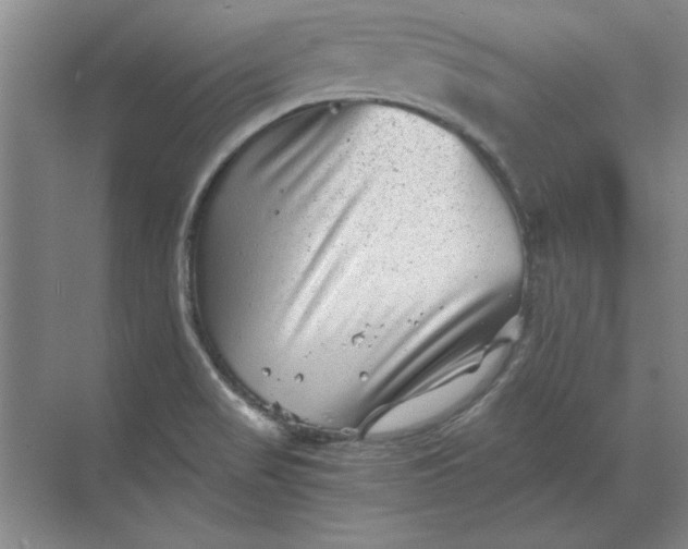 X0000068831517200605191846