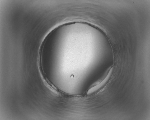 X0000068831518200605191846