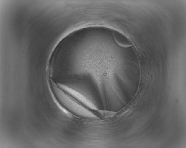 X0000068831519200605191846