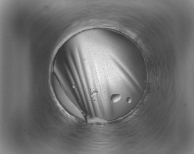 X0000068831520200605191846