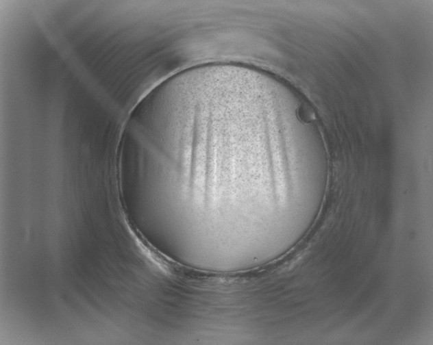 X0000068831521200605191846