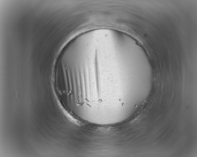 X0000068831523200605191846