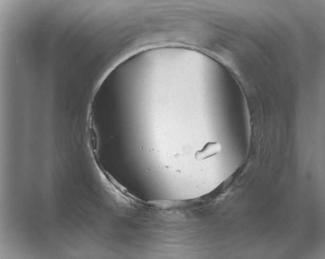 X0000068831524200605191846