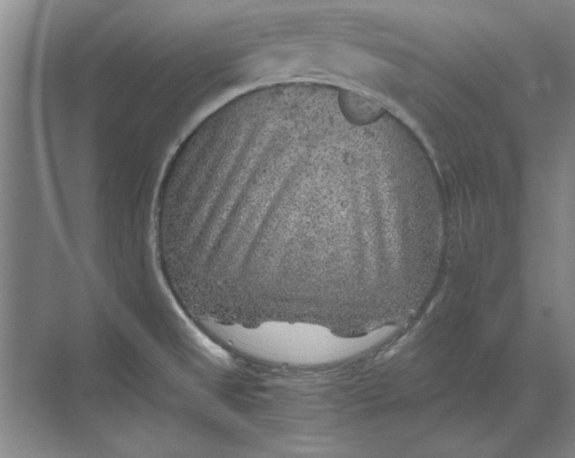 X0000068831525200605191846