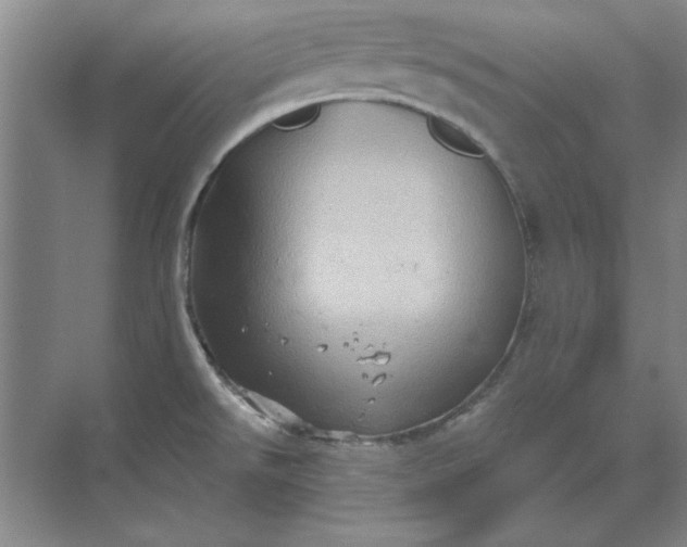 X0000068831526200605191846