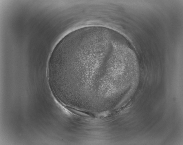 X0000068831527200605191846