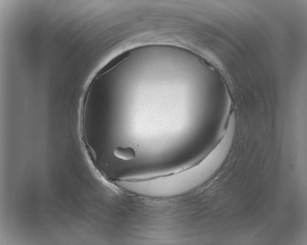 X0000068831528200605191846