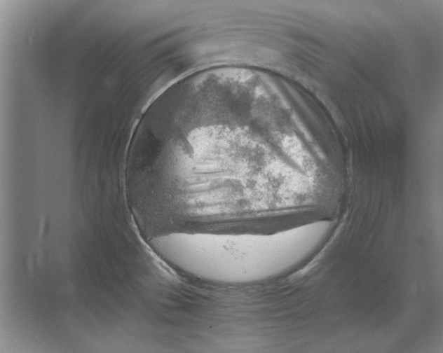 X0000068831529200605191846