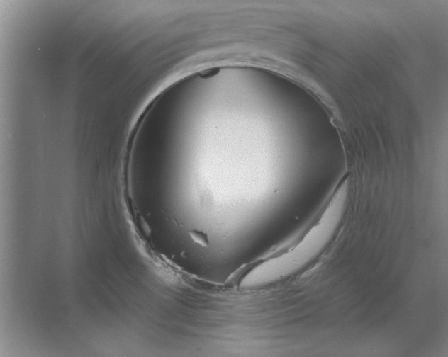 X0000068831530200605191846