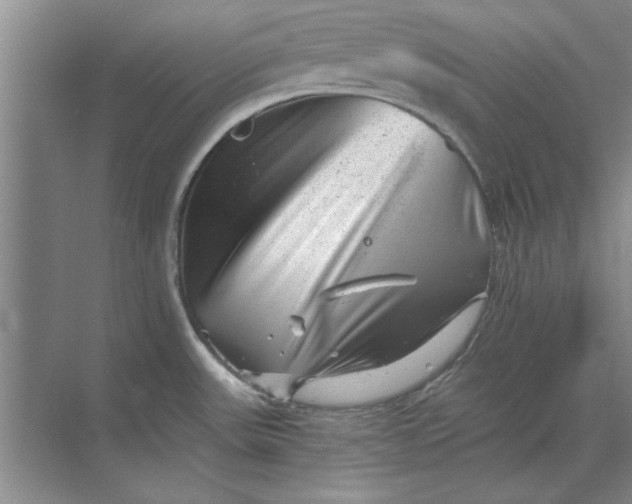 X0000068831531200605191846