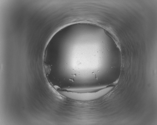 X0000068831532200605191846