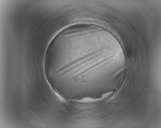 X0000068831533200605191846