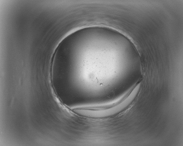 X0000068831534200605191846