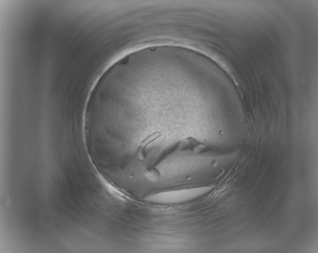 X0000068831535200605191846