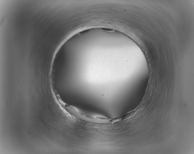 X0000068831536200605191846