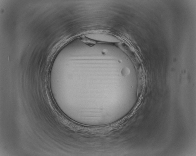 X0000068830001200605261627