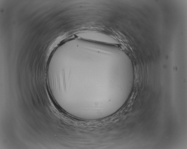 X0000068830003200605261627