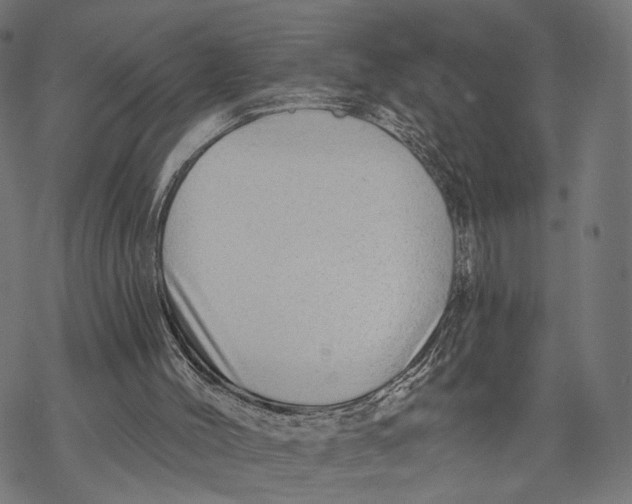 X0000068830004200605261627