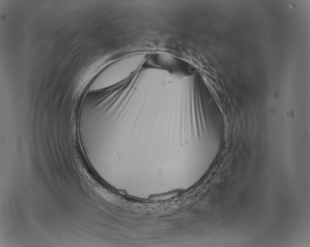 X0000068830005200605261627