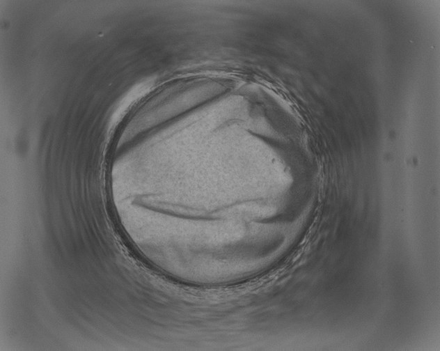 X0000068830006200605261627