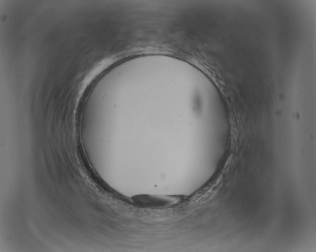 X0000068830008200605261627