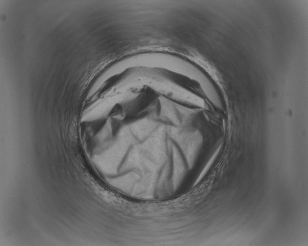 X0000068830009200605261627