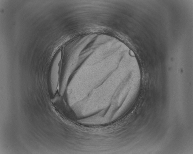 X0000068830010200605261627