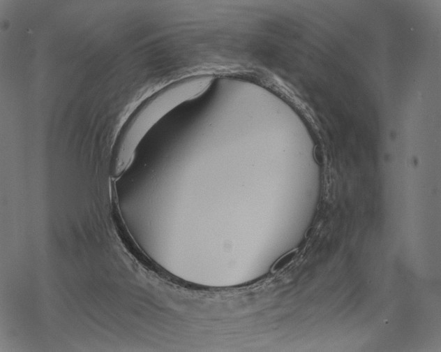 X0000068830011200605261627