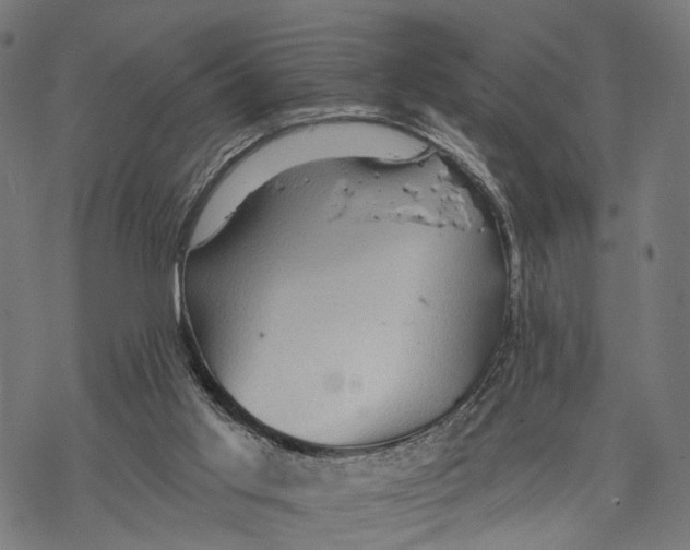 X0000068830013200605261627